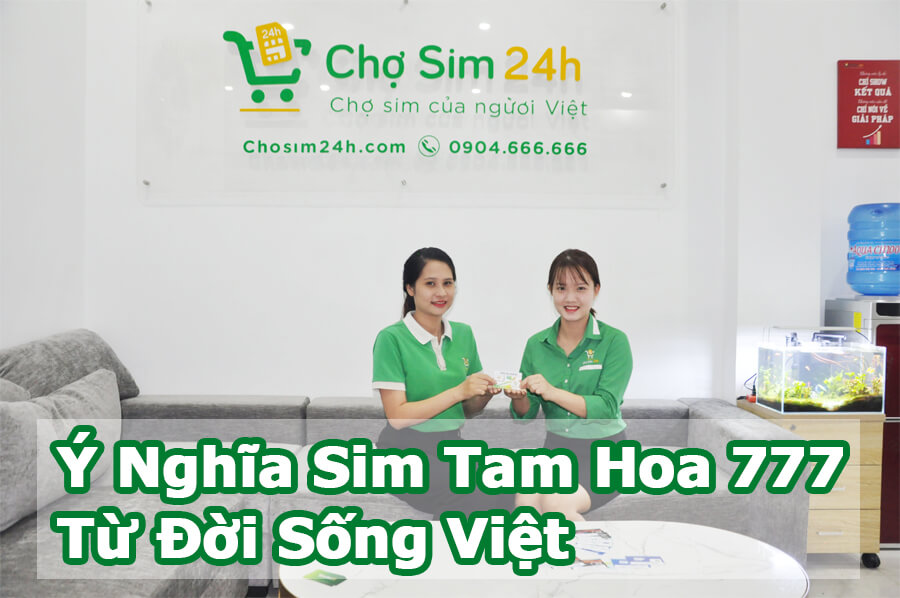 y-nghia-sim-tam-hoa-777